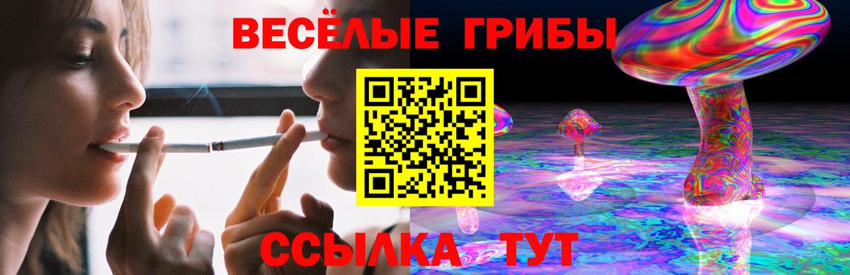 Галлюциногенные грибы GOLDEN TEACHER Лянтор