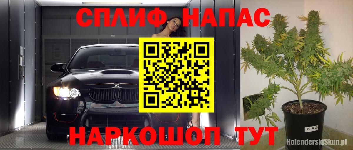 Бошки Шишки VHQ Лянтор
